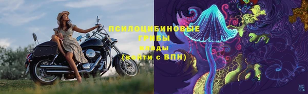 прущий лед Абаза