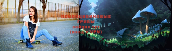 ALPHA-PVP Алексин