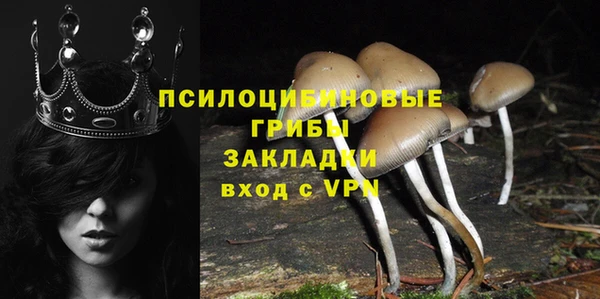 прущий лед Абаза
