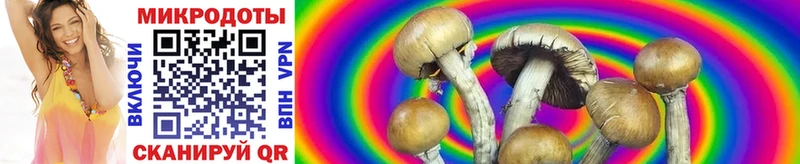kraken сайт  как найти закладки  Сочи  Галлюциногенные грибы MAGIC MUSHROOMS 